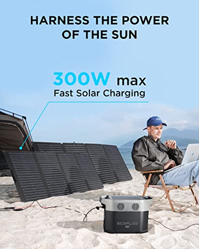 EF ECOFLOW Portable Power Station Delta Mini, 882Wh Solar Generator (Solar Panel Not Included) with 5 x 1400W AC Outlets, Lithium Battery for Outdoor Power, Emergency Home Use Camping RV/Van
