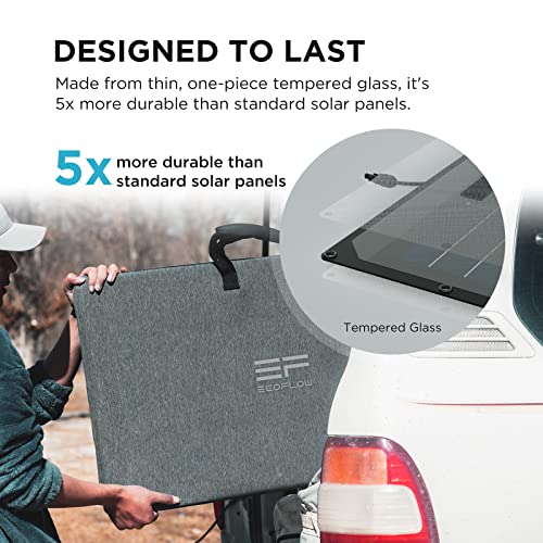 EF ECOFLOW Delta Max (2000) Solar Generator 2016Wh with 220W Solar Panel, 6 X 2400W (5000W Surge) AC Outlets, Portable Power Station for Home Backup Outdoors Camping RV Emergency